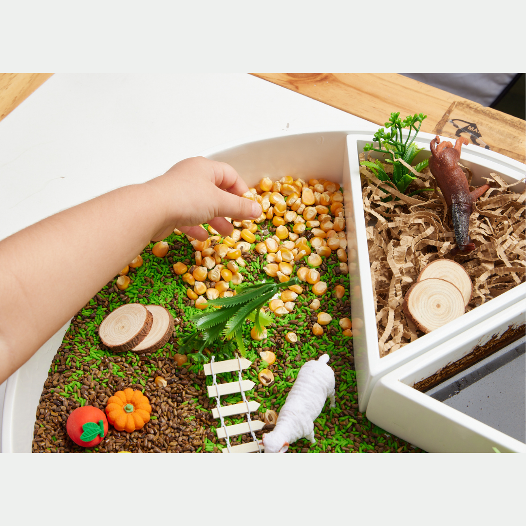 Farm Animal Sensory Play: A Fun Way to Learn, Explore & Imagine