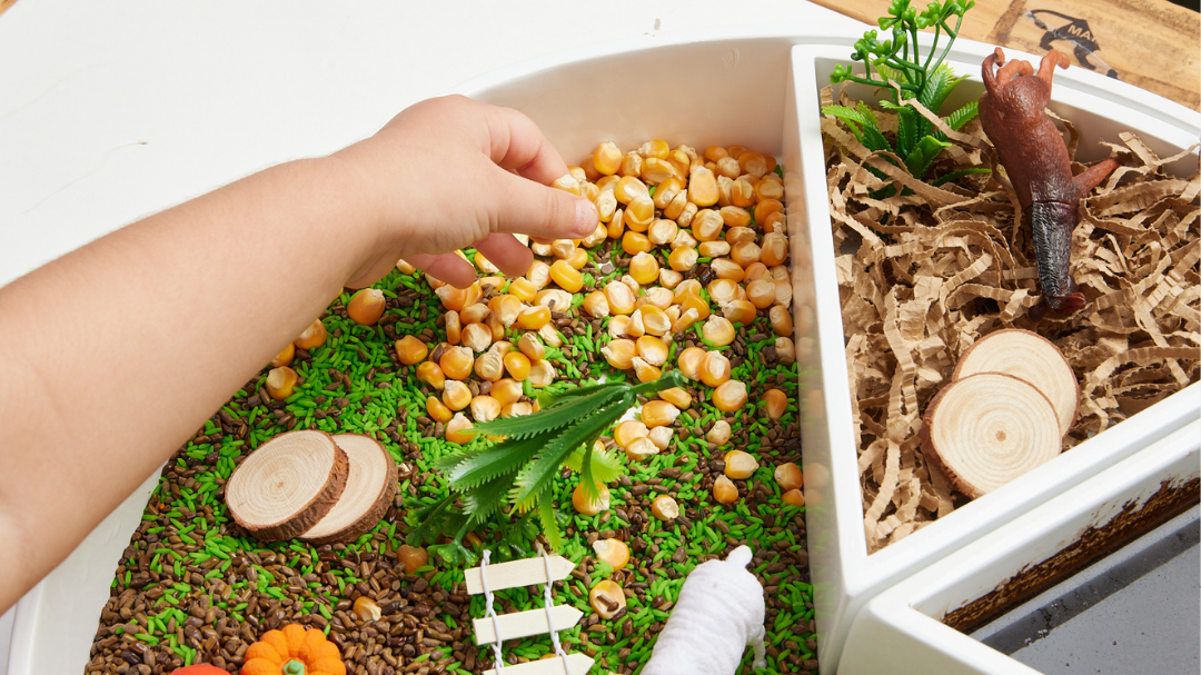 Farm Animal Sensory Play: A Fun Way to Learn, Explore & Imagine
