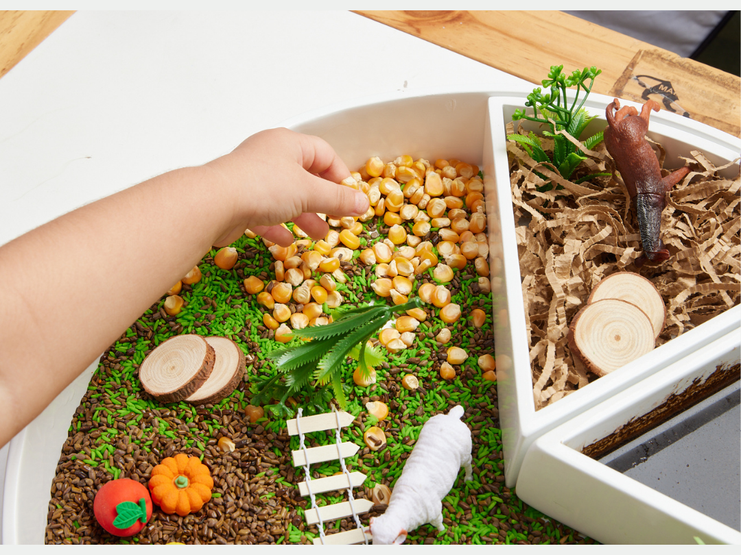 Farm Animal Sensory Play: A Fun Way to Learn, Explore & Imagine