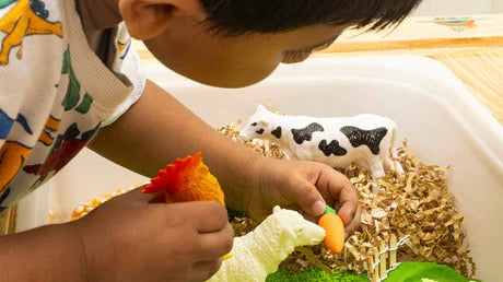 Best Educational Items and Toys to Support a 3-Year-Old’s Development