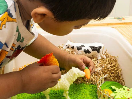 Best Educational Items and Toys to Support a 3-Year-Old’s Development