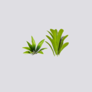 2 Faux plants