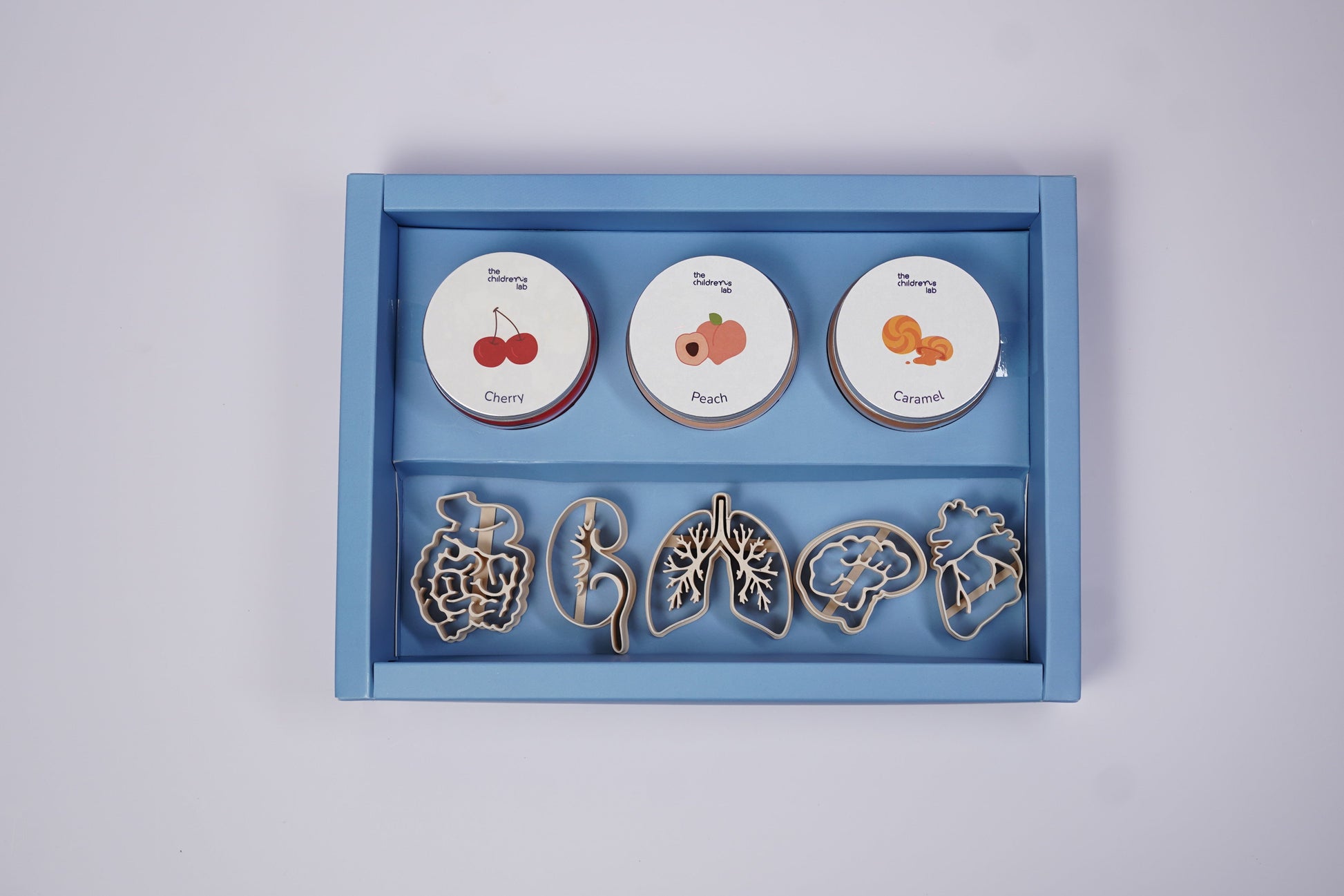 Human Body Organ DoughLab Themed Kit
