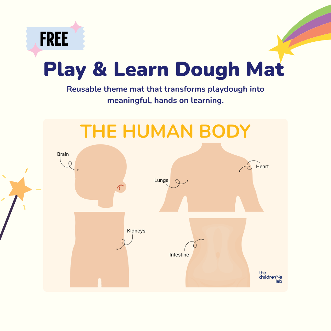 Human Body Organ Eco Cutters