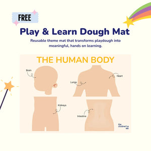 1 Big Wipeable Human Body Learning Mat