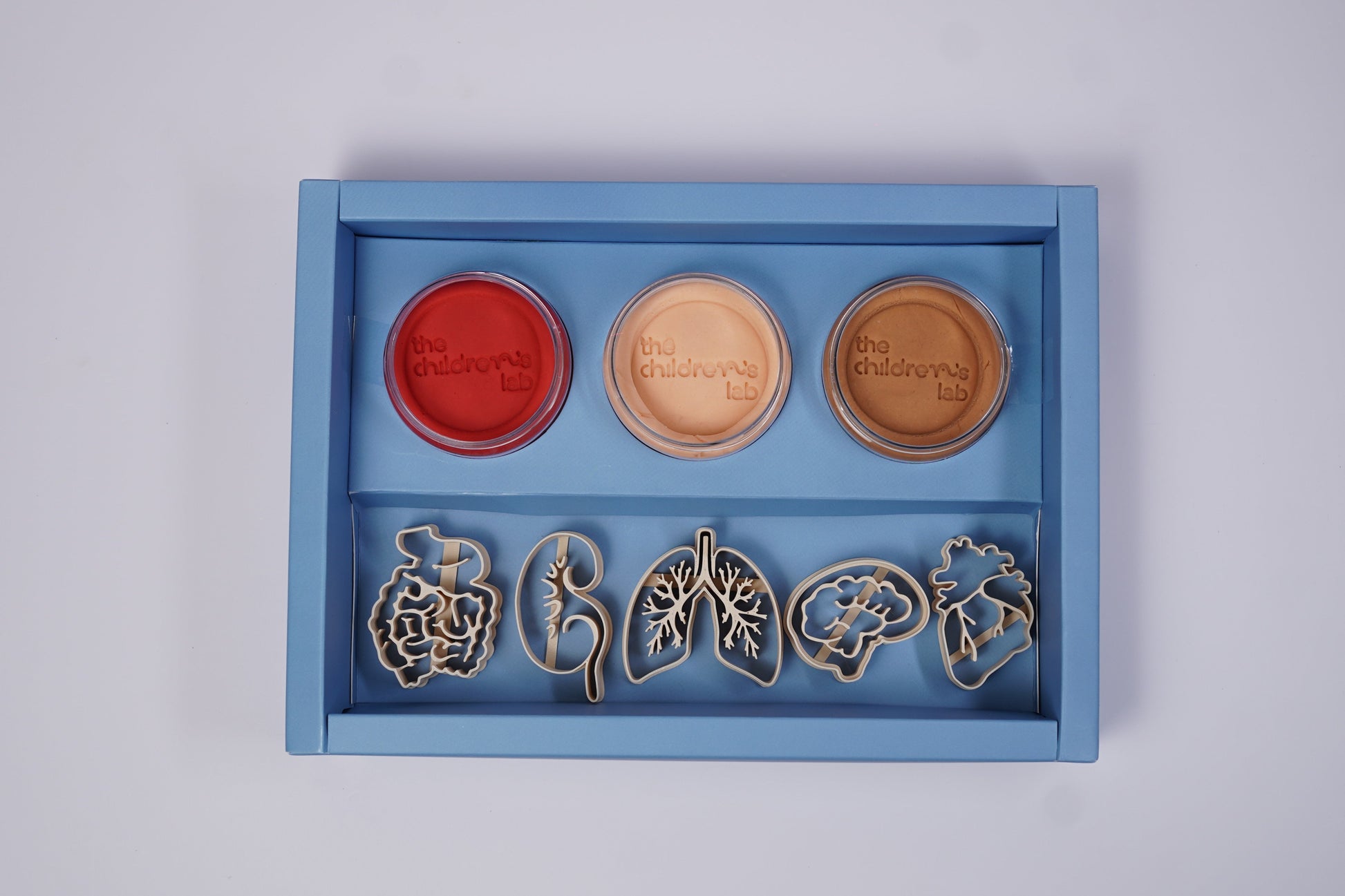 Human Body Organ DoughLab Themed Kit
