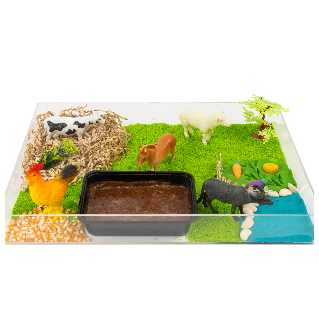 Farm Animals Sensory Play Bin