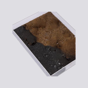  1 Pack of brown cassia seeds (200gms) and 1 Pack of black rice (150gms) 