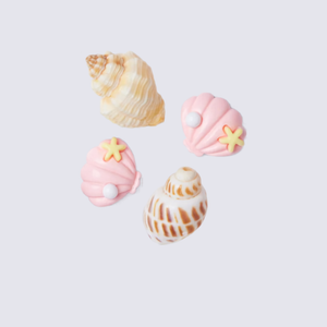 Various Seashells