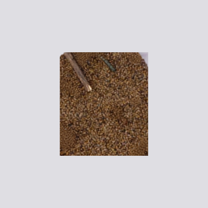 1 pack of cassia seeds (150 gms)