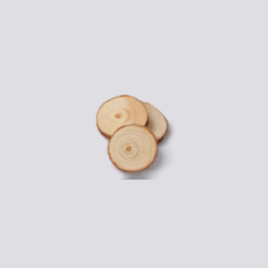  4 wooden logs slices 