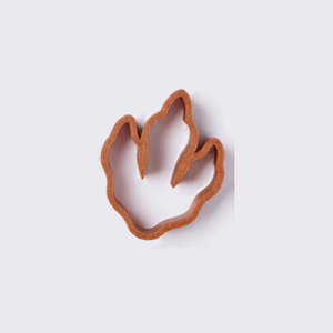 A Dinosaur Footprint