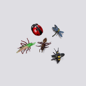 5 Insect 3D models 
