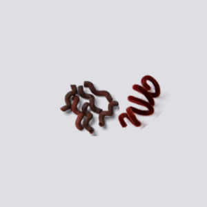 Spiral brown pasta (as worms)