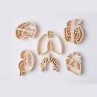 Human Body Organ Eco
