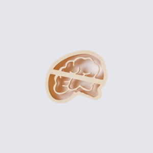 Brain