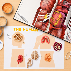 Human Body Organ Themed Mat