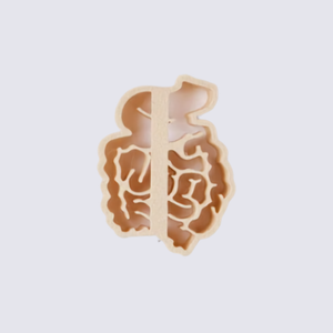 Intestines